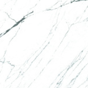 STATUARIO VENATO 60*120